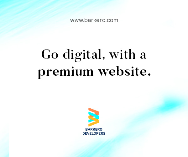 barkero developers premium website