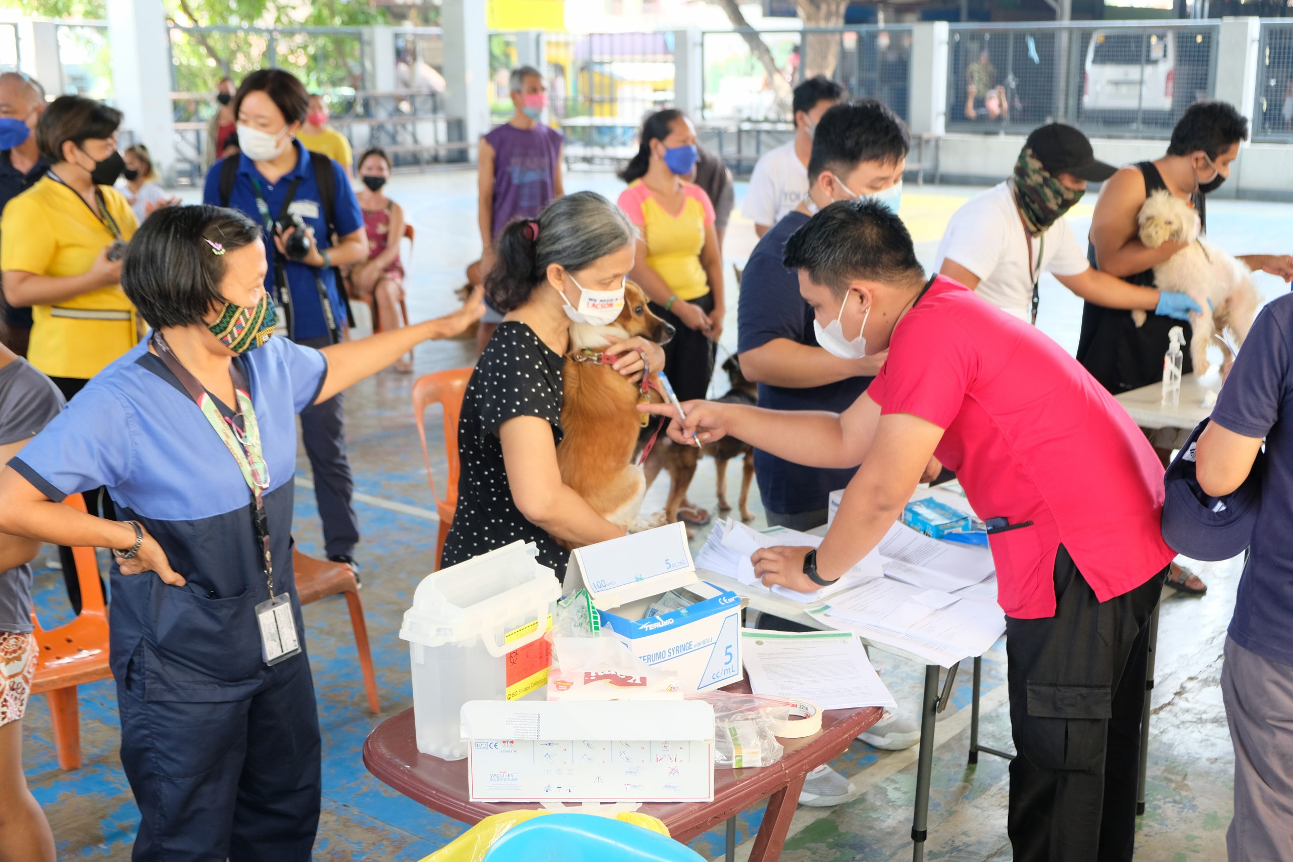 Japan-PH collaboration set to strengthen rabies control nationwide ...